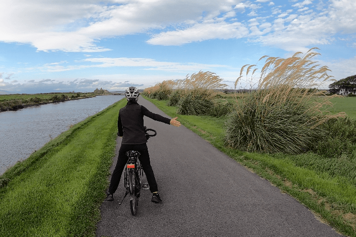 Screen Shot 2019-08-23 at 5.46.25 pm